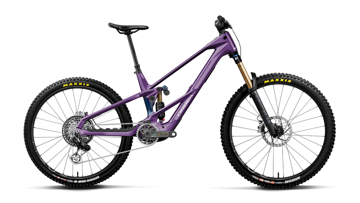 WILD LT M-LTD RS MULLET 20mph - Royal Plum-Noctiluca C.View (Gloss)