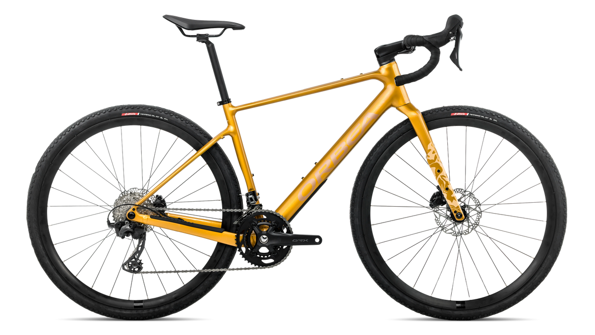 TERRA H30 - Bumblebee Yellow - Brown (Gloss)