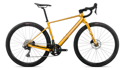 TERRA H30 - Bumblebee Yellow - Brown (Gloss)