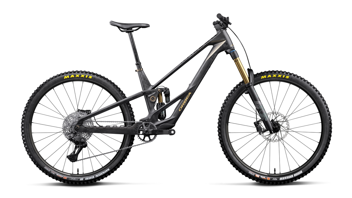 RALLON RS-LTD 20mph - Fuel Carbon View - Magic Gold (Matt)