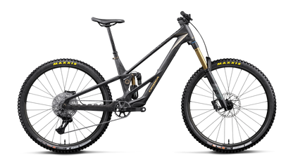 RALLON RS-LTD 20mph - Fuel Carbon View - Magic Gold (Matt)
