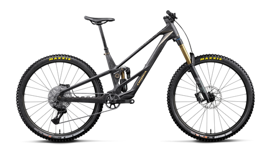 RALLON RS-LTD 20mph - Fuel Carbon View - Magic Gold (Matt)