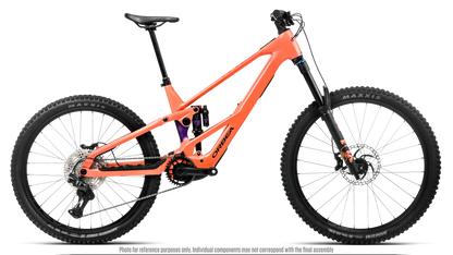 WILD LT H10 MULLET 20mph - Wild Orange -Royal Plum (Gloss)