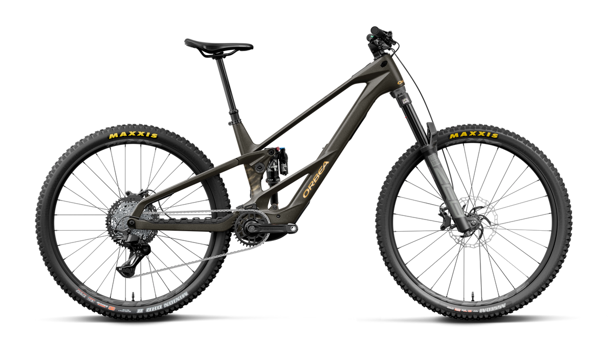 WILD LT M20 20mph - Magic Gold C. View (Matt) - Titan Gold (Gloss)