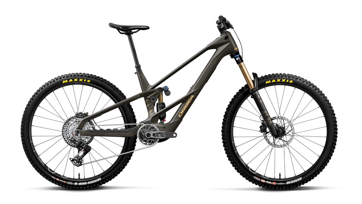 WILD LT M-TEAM RS 20mph - Magic Gold C. View (Matt) - Titan Gold (Gloss)