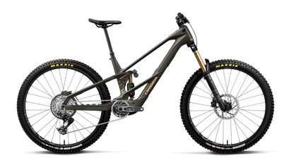 WILD LT M-TEAM RS 20mph - Magic Gold C. View (Matt) - Titan Gold (Gloss)
