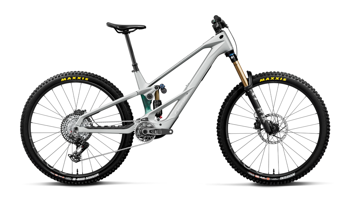 WILD LT M-TEAM RS 20mph - Smooth Silver (Matt) - Escape Green C. View (Gloss)