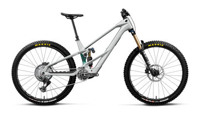 WILD LT M-TEAM RS 20mph - Smooth Silver (Matt) - Escape Green C. View (Gloss)