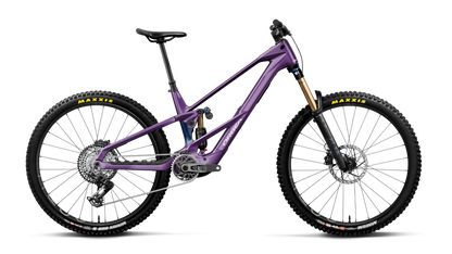 WILD LT M-TEAM RS 20mph - Royal Plum-Noctiluca C.View (Gloss)