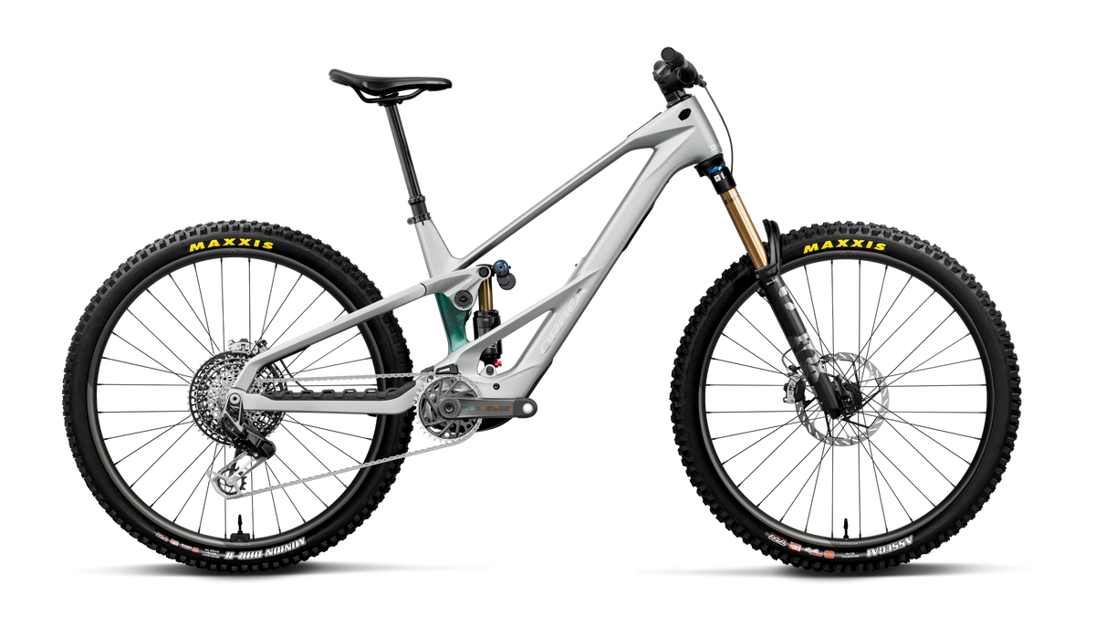 WILD LT M-LTD RS 20mph - Smooth Silver (Matt) - Escape Green C. View (Gloss)