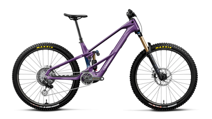 WILD LT M-LTD RS 20mph - Royal Plum-Noctiluca C.View (Gloss)