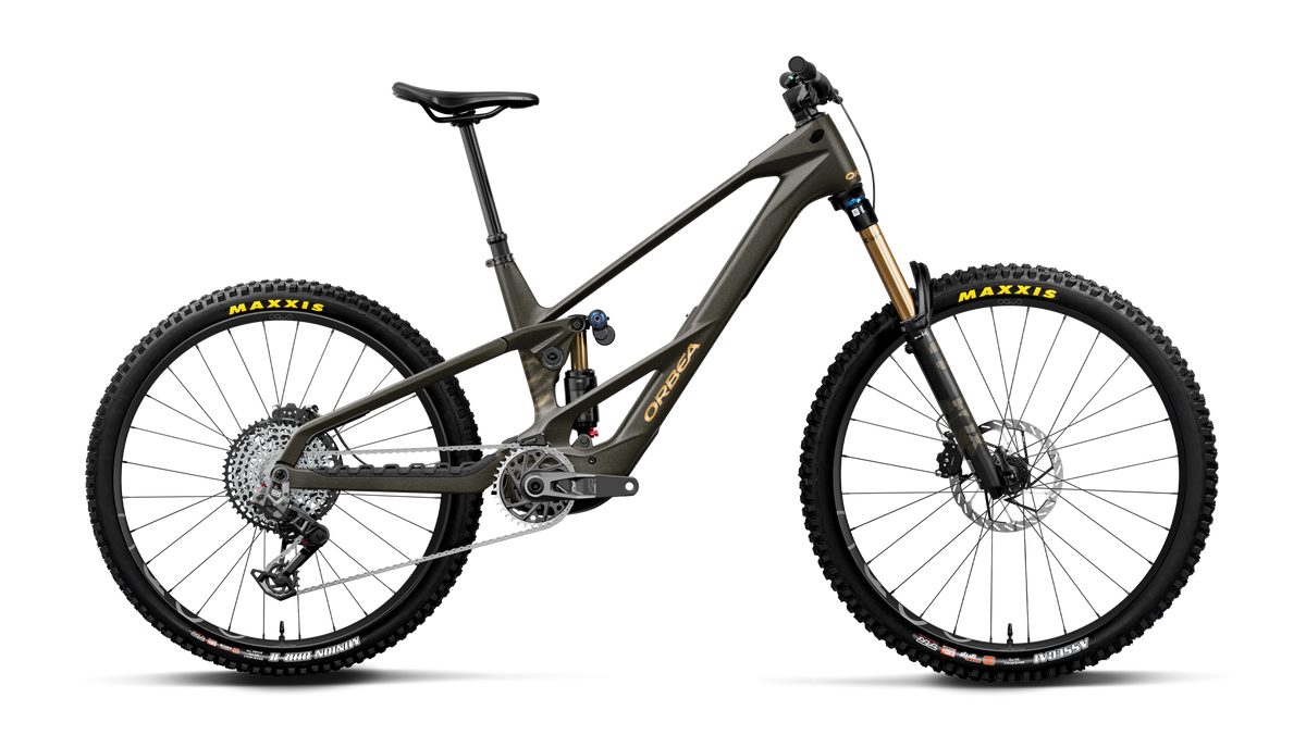 WILD LT M-TEAM RS MULLET 20mph - Magic Gold C. View (Matt) - Titan Gold (Gloss)