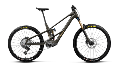 WILD LT M-TEAM RS MULLET 20mph - Magic Gold C. View (Matt) - Titan Gold (Gloss)