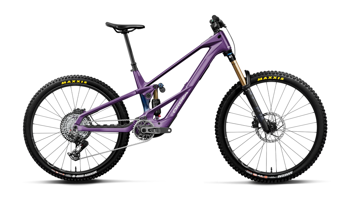 WILD LT M-TEAM RS MULLET 20mph - Royal Plum-Noctiluca C.View (Gloss)