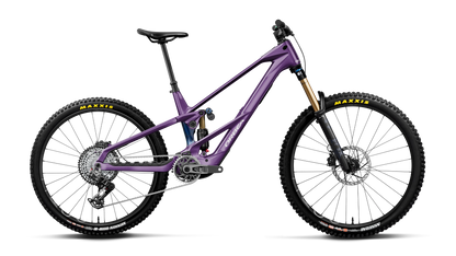 WILD LT M-TEAM RS MULLET 20mph - Royal Plum-Noctiluca C.View (Gloss)