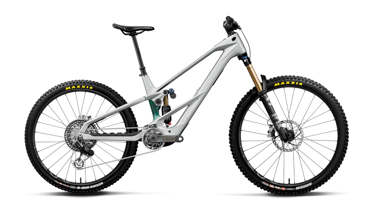 WILD LT M-LTD RS MULLET 20mph - Smooth Silver (Matt) - Escape Green C. View (Gloss)