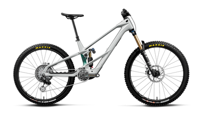 WILD LT M-LTD RS MULLET 20mph - Smooth Silver (Matt) - Escape Green C. View (Gloss)
