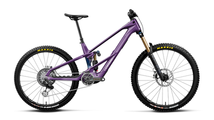 WILD LT M-LTD RS MULLET 20mph - Royal Plum-Noctiluca C.View (Gloss)