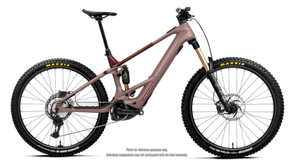 WILD TR M20 20mph - Nickel (Gloss) - Burning Ashes C. View (Gloss)