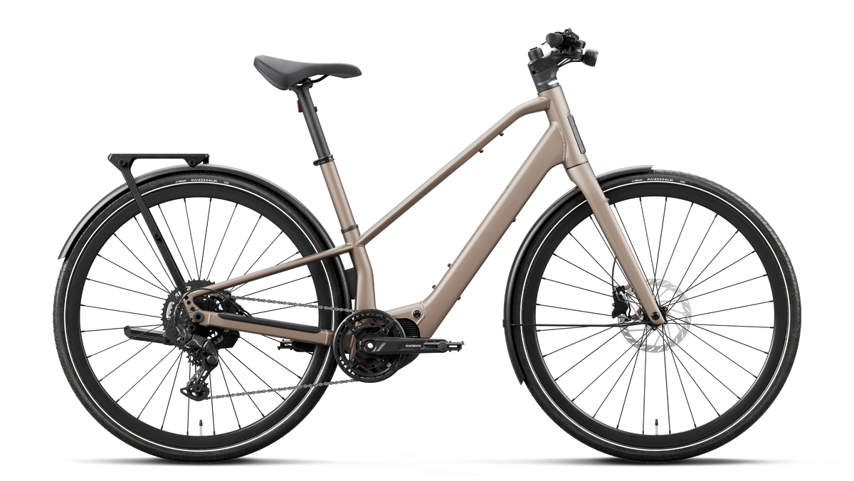 CARPE 20 20mph - Nickel
