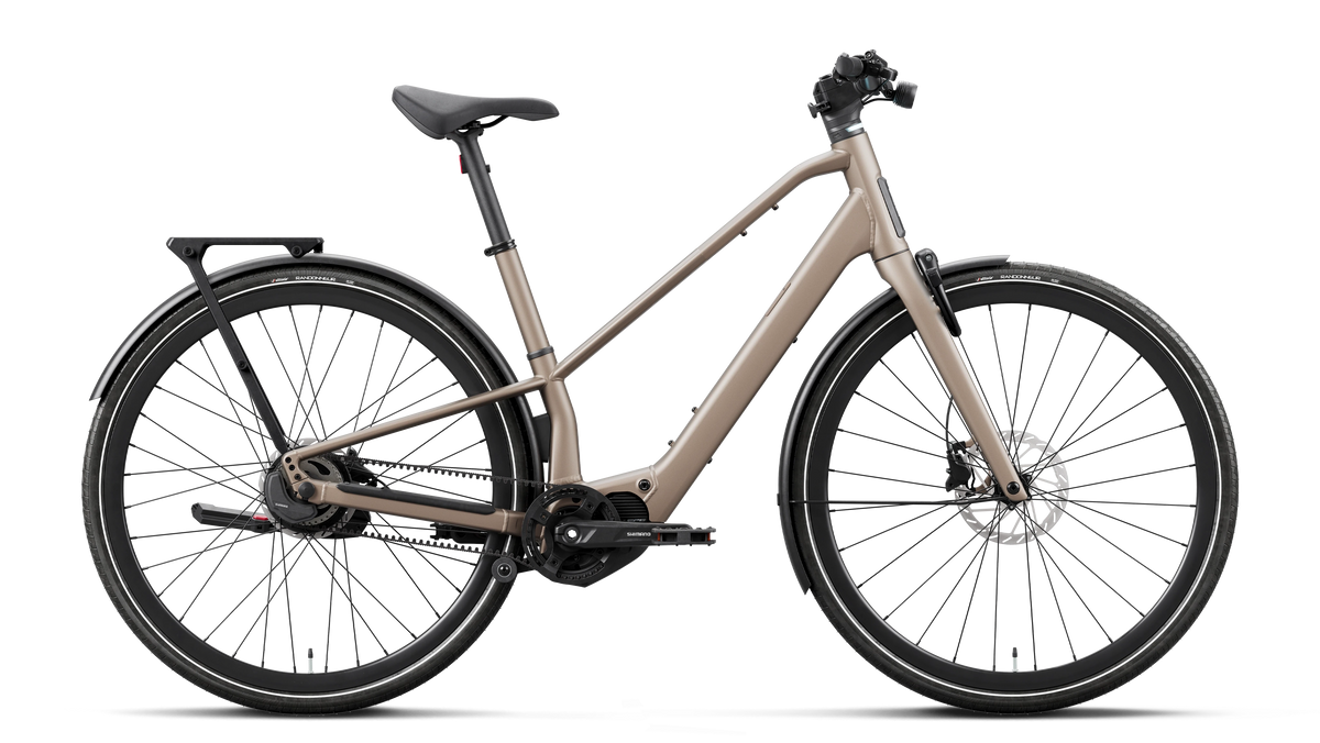 CARPE 10 20mph - Nickel