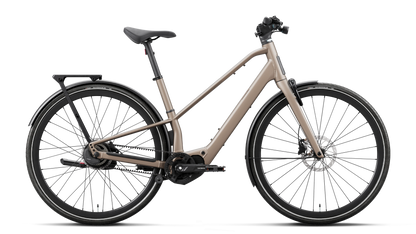 CARPE 10 20mph - Nickel