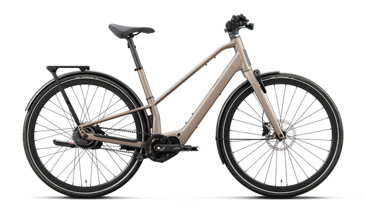 CARPE 10 20mph - Nickel