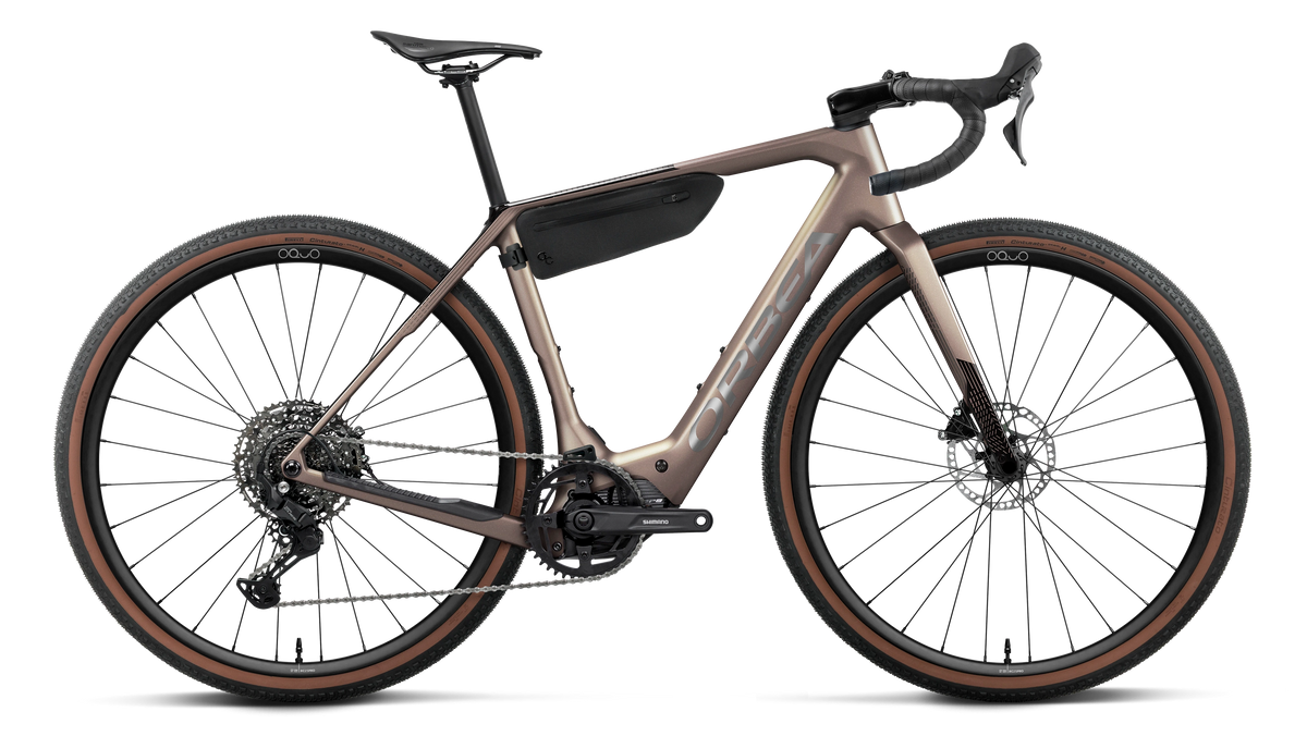 DENNA M40 20mph - Nickel (Matt) - Carbon Raw (Gloss)