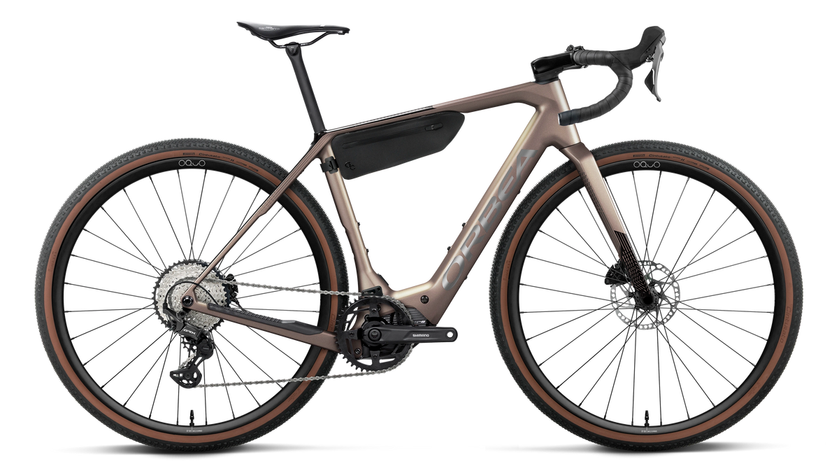 DENNA M30 20mph - Nickel (Matt) - Carbon Raw (Gloss)