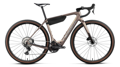 DENNA M30 20mph - Nickel (Matt) - Carbon Raw (Gloss)