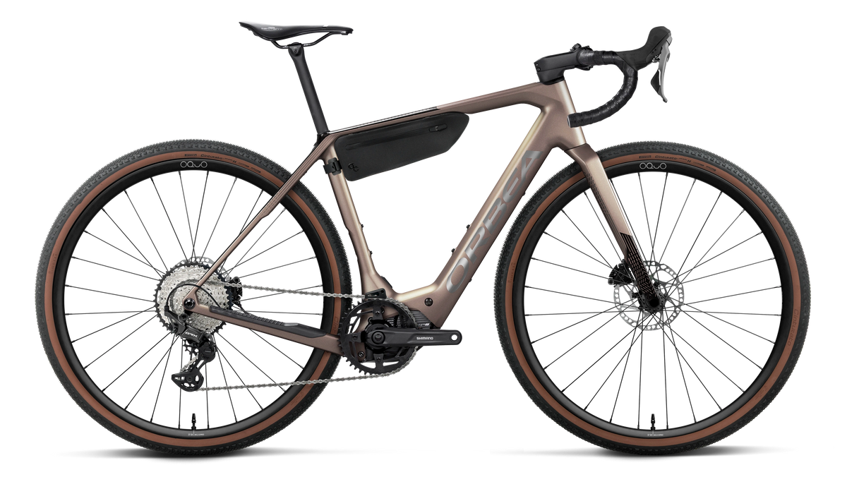 DENNA M20 20mph - Nickel (Matt) - Carbon Raw (Gloss)