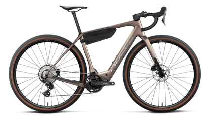 DENNA M20 20mph - Nickel (Matt) - Carbon Raw (Gloss)