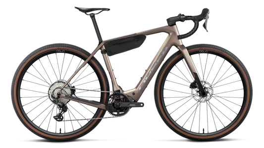DENNA M20 20mph - Nickel (Matt) - Carbon Raw (Gloss)