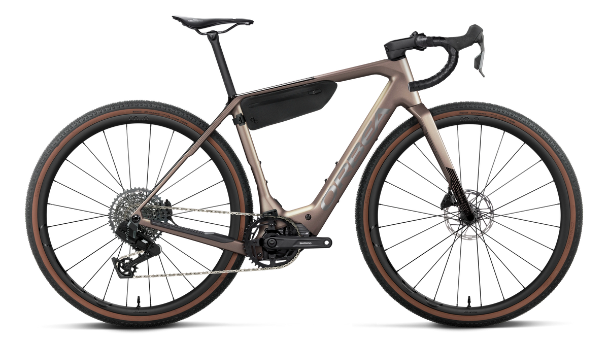 DENNA M31e 20mph - Nickel (Matt) - Carbon Raw (Gloss)