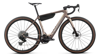 DENNA M31e 20mph - Nickel (Matt) - Carbon Raw (Gloss)
