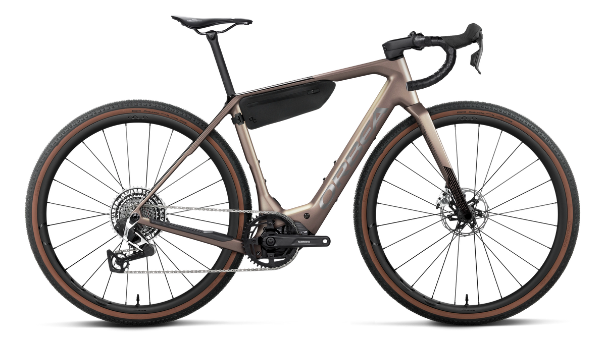DENNA M11e 20mph - Nickel (Matt) - Carbon Raw (Gloss)