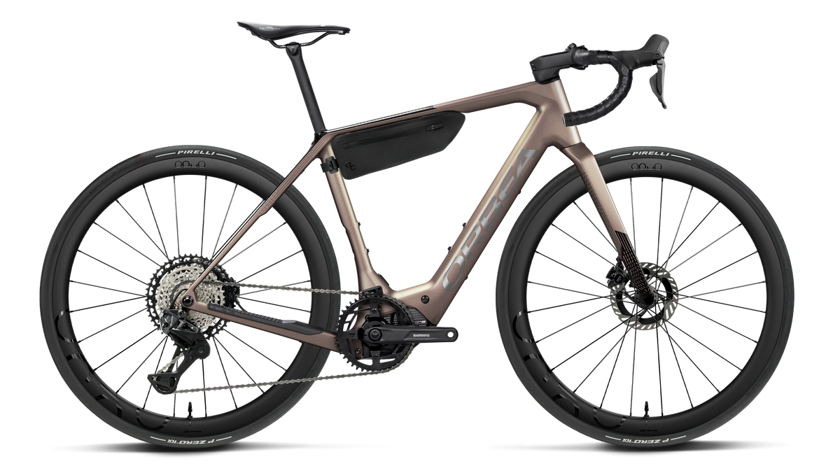 DENNA M10i 20mph - Nickel (Matt) - Carbon Raw (Gloss)