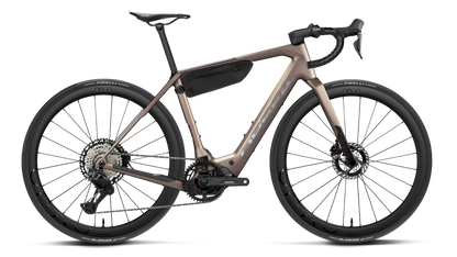 DENNA M10i 20mph - Nickel (Matt) - Carbon Raw (Gloss)
