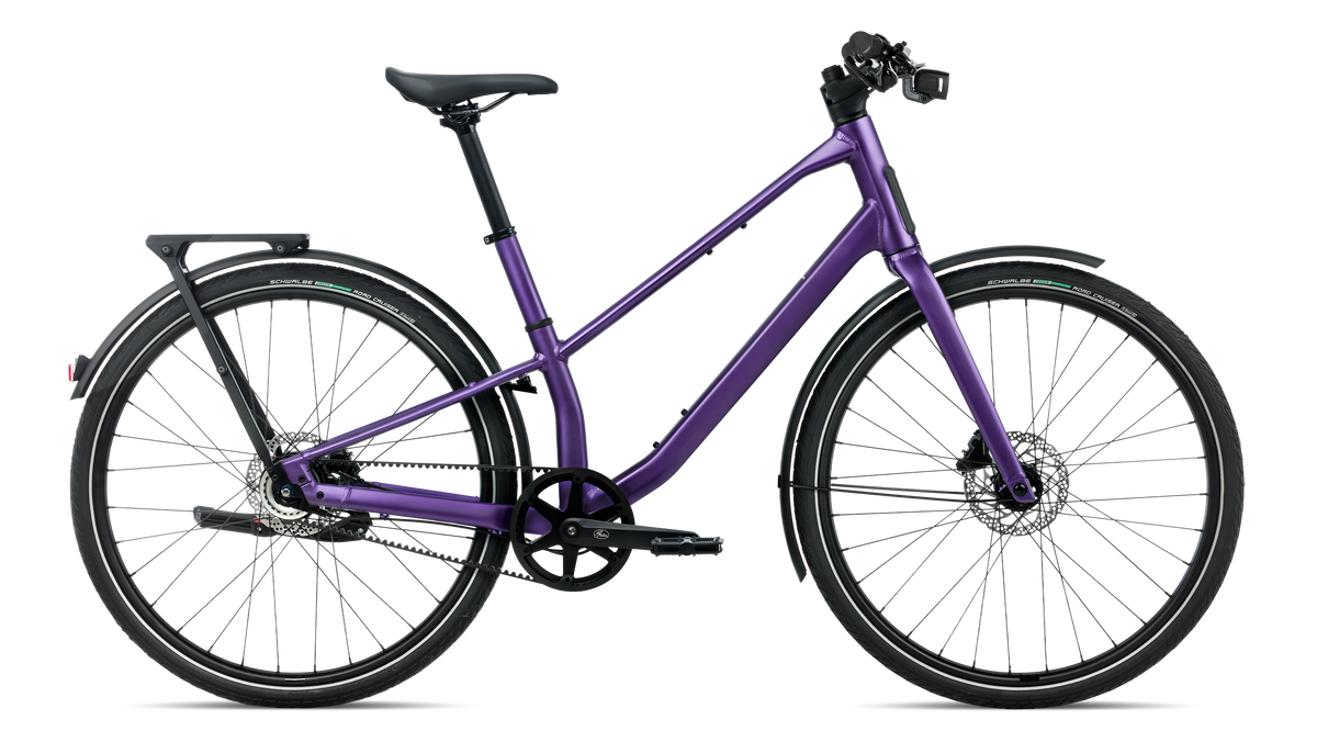VECTOR 10 - Royal Plum (Matt)