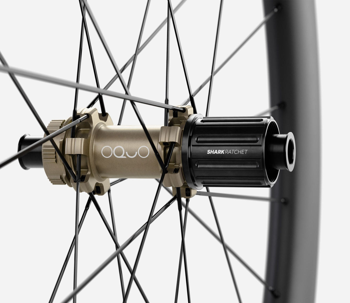 RP50LTD SHIMANO HG SET Black Matt