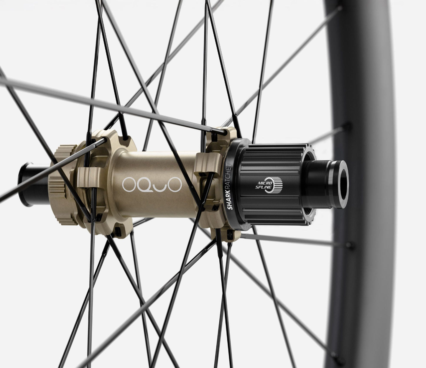 RP50LTD SHIMANO MS SET Oquo